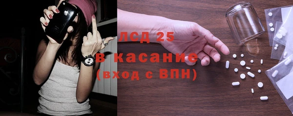 винт Лагань