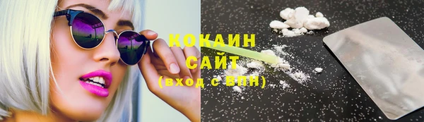 винт Лагань