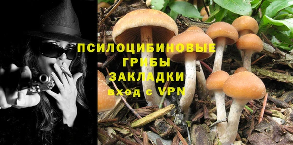 бутират Липки