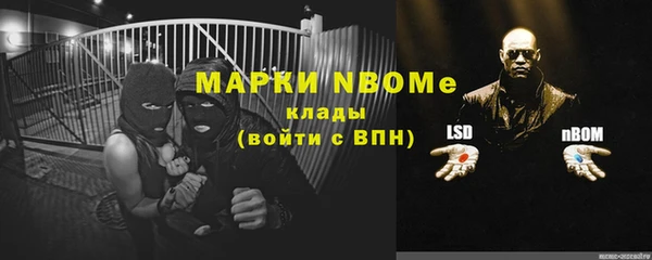 винт Лагань