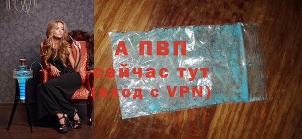 винт Лагань