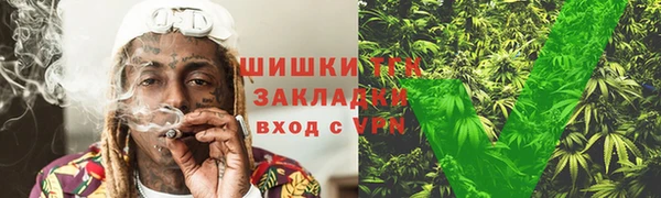сатива Алексеевка