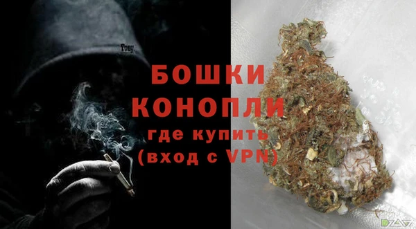 шишки Ладушкин