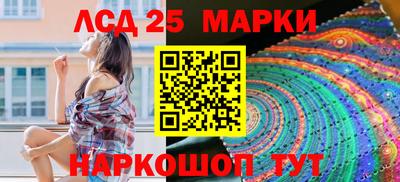 крисы Гай