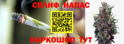крисы Гай