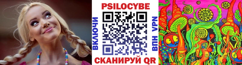 Галлюциногенные грибы Psilocybine cubensis  Лесной 