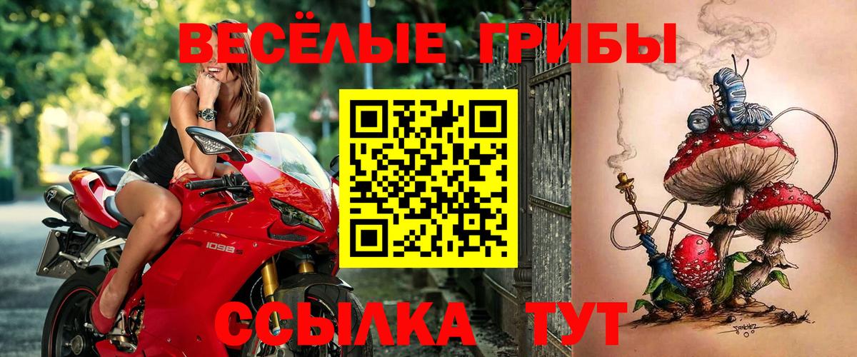 Галлюциногенные грибы Magic Shrooms  Лесной 
